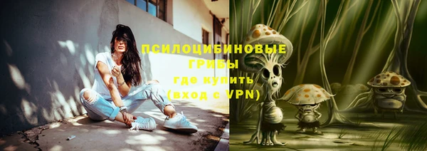 сатива Алексеевка