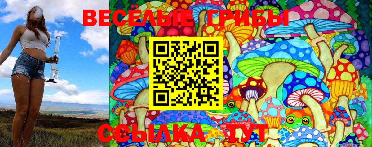 Галлюциногенные грибы Cubensis Апшеронск